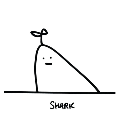 Bugs | Shark