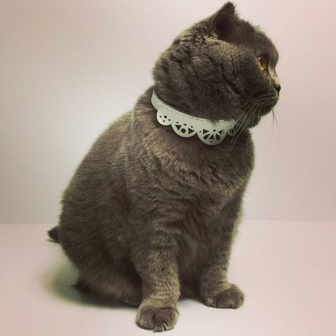 Leather lace pet collar